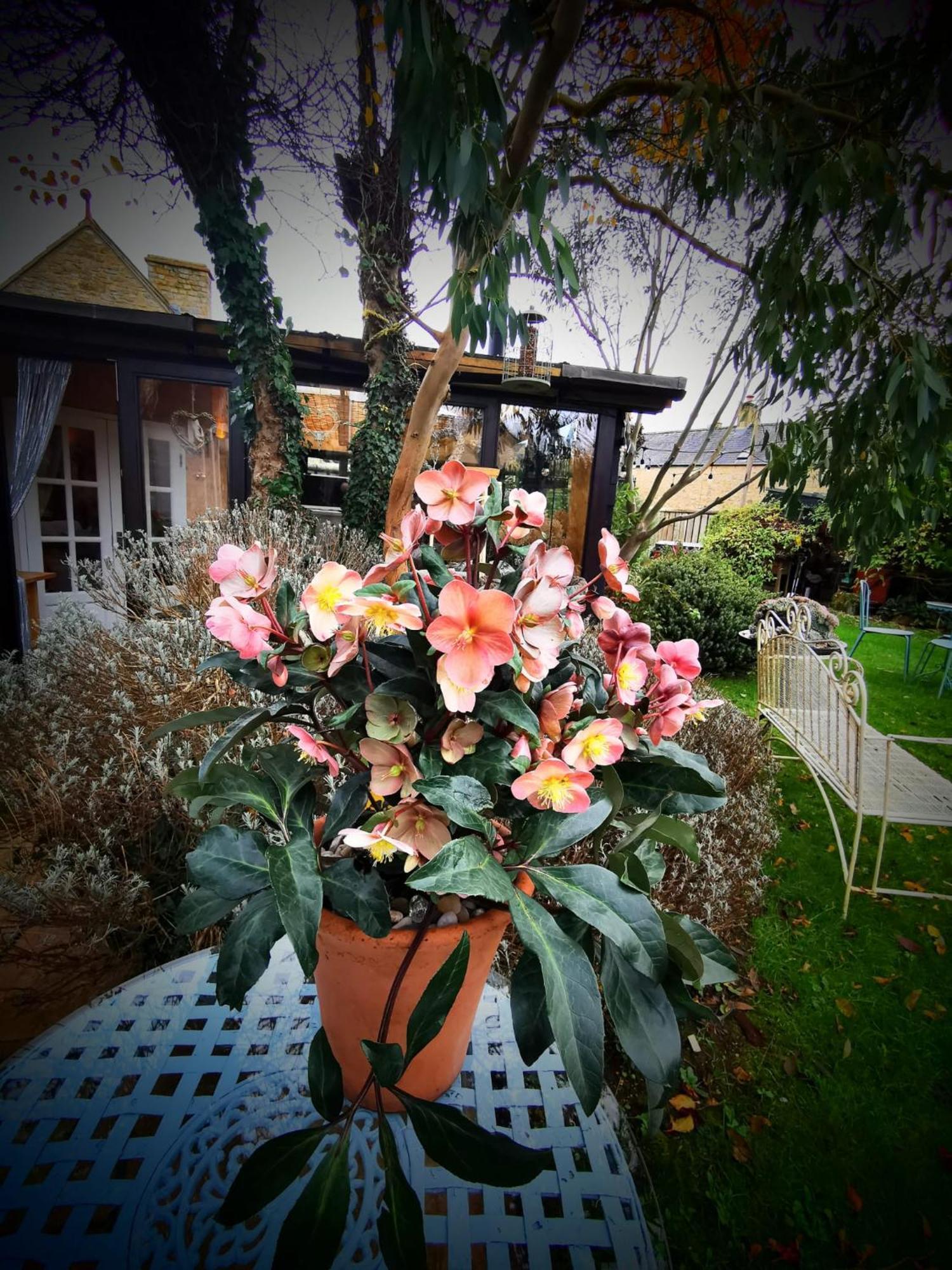 Cotswold Garden Chalet In Stow-On-The-Wold ภายนอก รูปภาพ